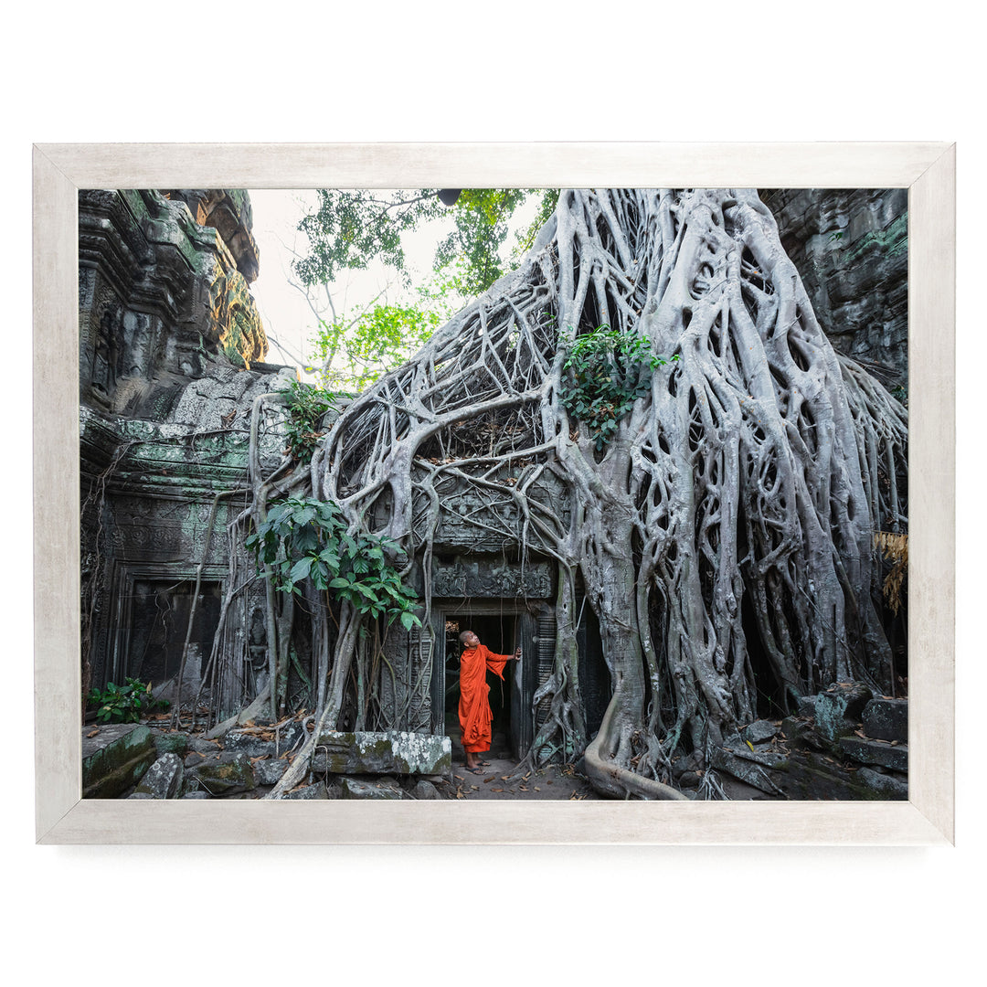 Monk at Ta Prohm, Angkor, Cambodia – fine art print in a silver frame, no mat