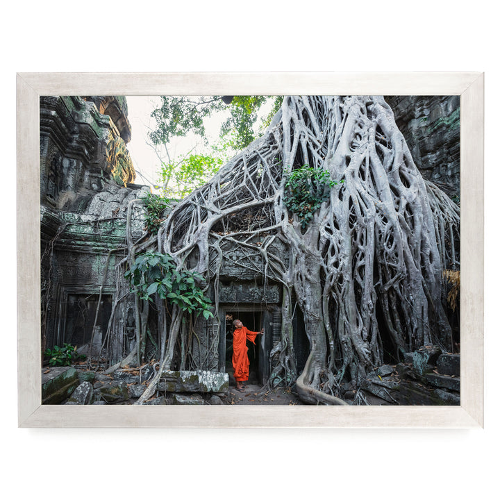 Monk at Ta Prohm, Angkor, Cambodia – fine art print in a silver frame, no mat