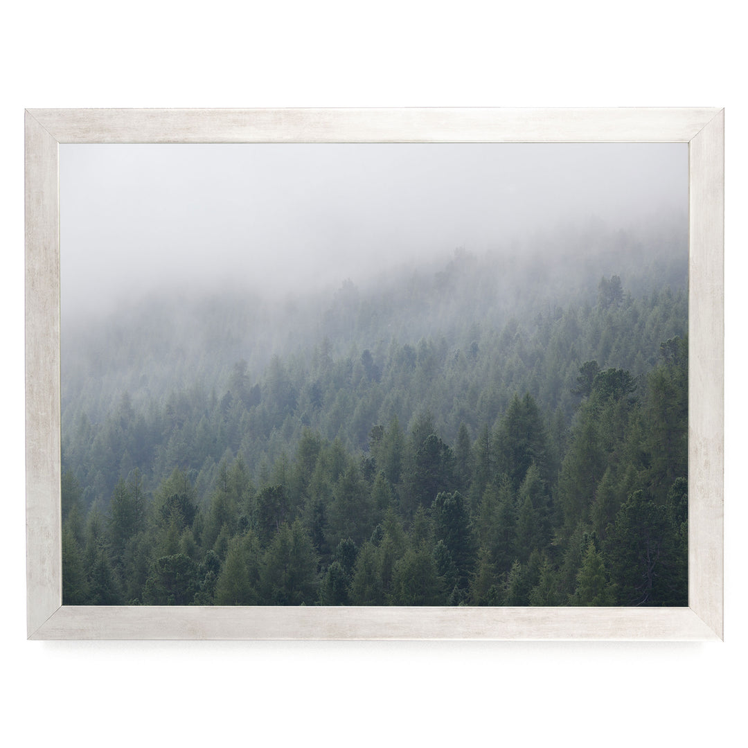 Misty Forest – fine art print in a silver frame, no mat
