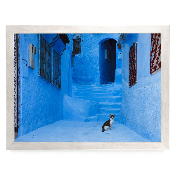 Cat in the Blue City, Chefchaouen, Morocco – fine art print in a silver frame, no mat