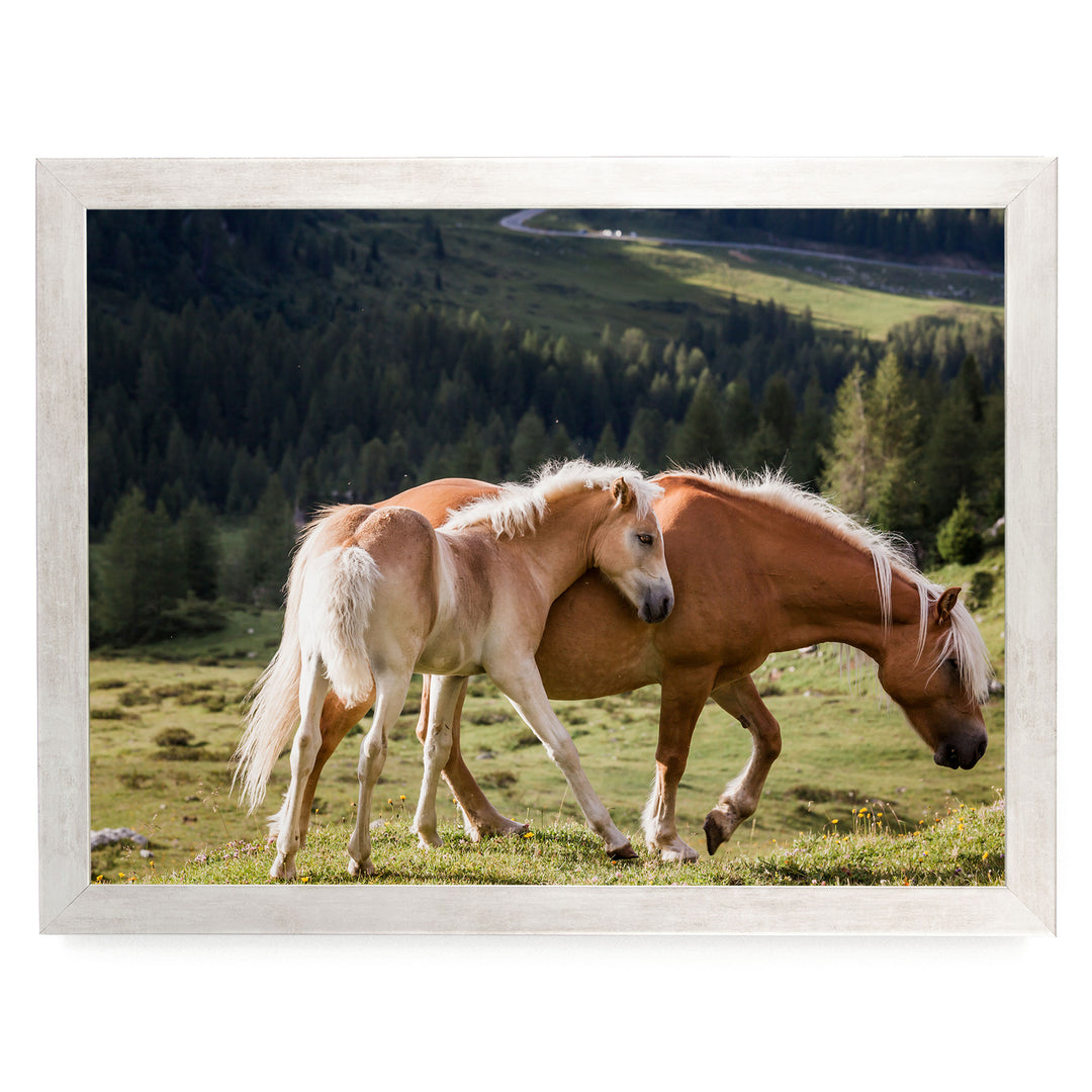 Wild Horses – fine art print in a silver frame, no mat