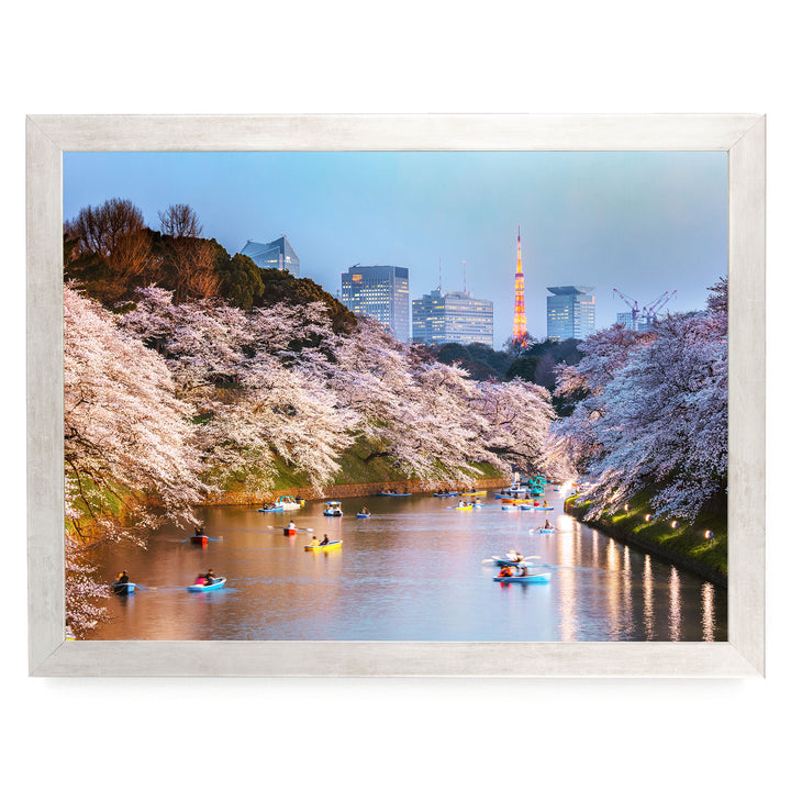 Cherry Blossoms in Tokyo, Japan – fine art print in a silver frame, no mat