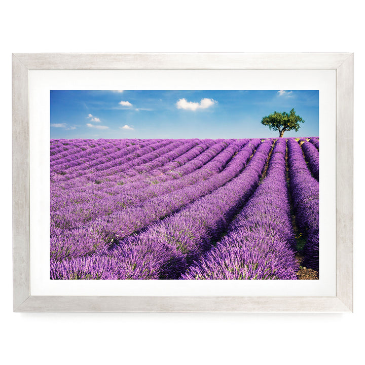 Summer in Provence, France – fine art print in a silver frame with white mat