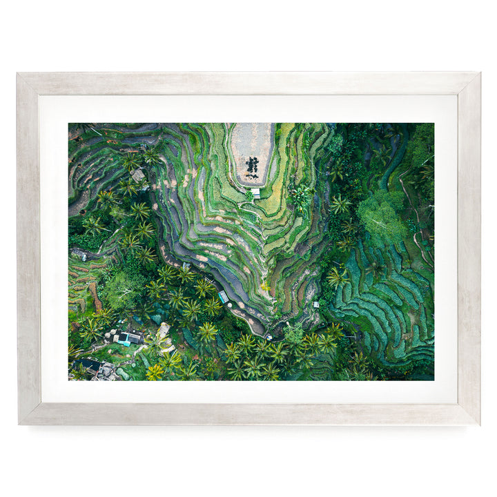 Rice Paddy, Bali I, Indonesia – fine art print in a silver frame with white mat