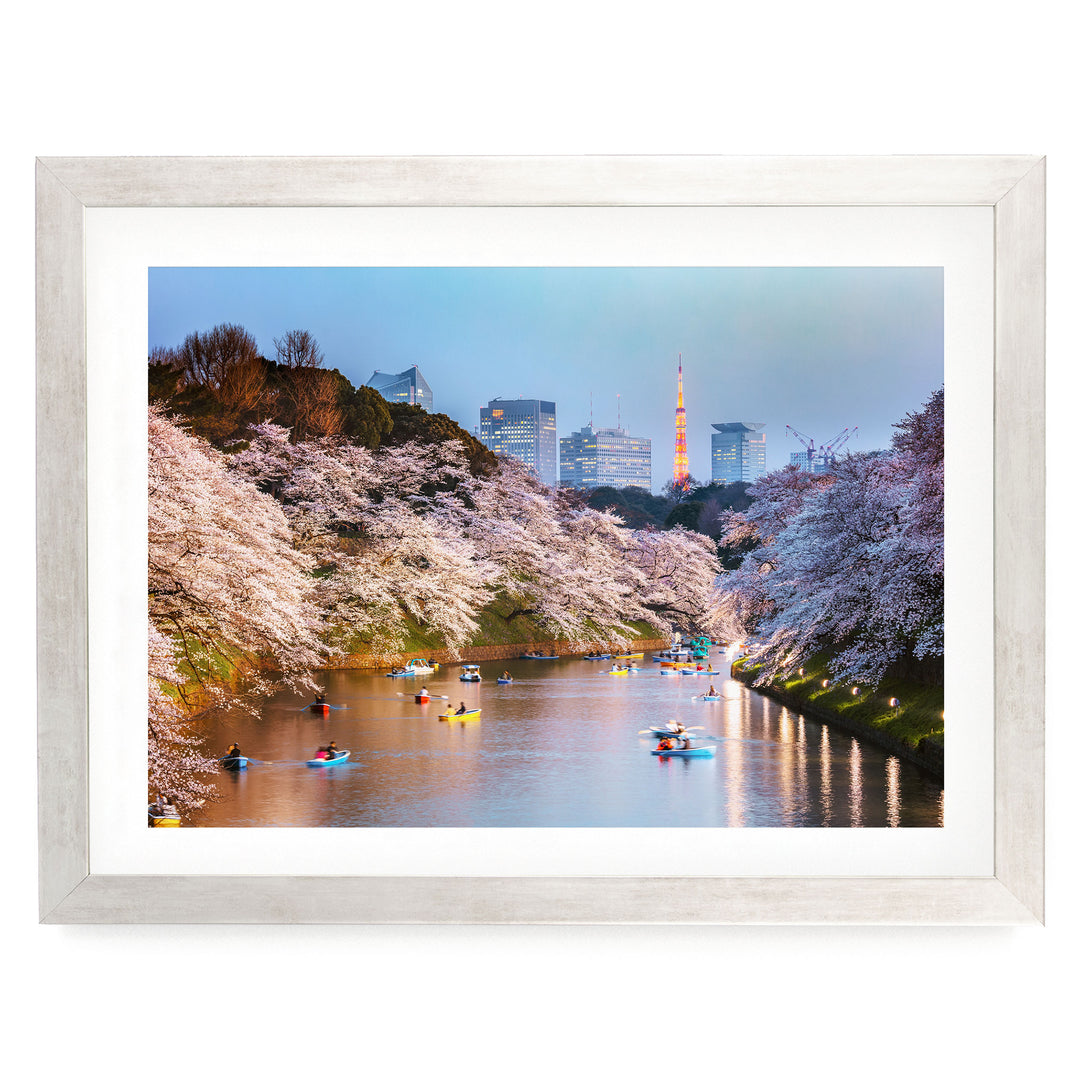Cherry Blossoms in Tokyo, Japan – fine art print in a silver frame with white mat