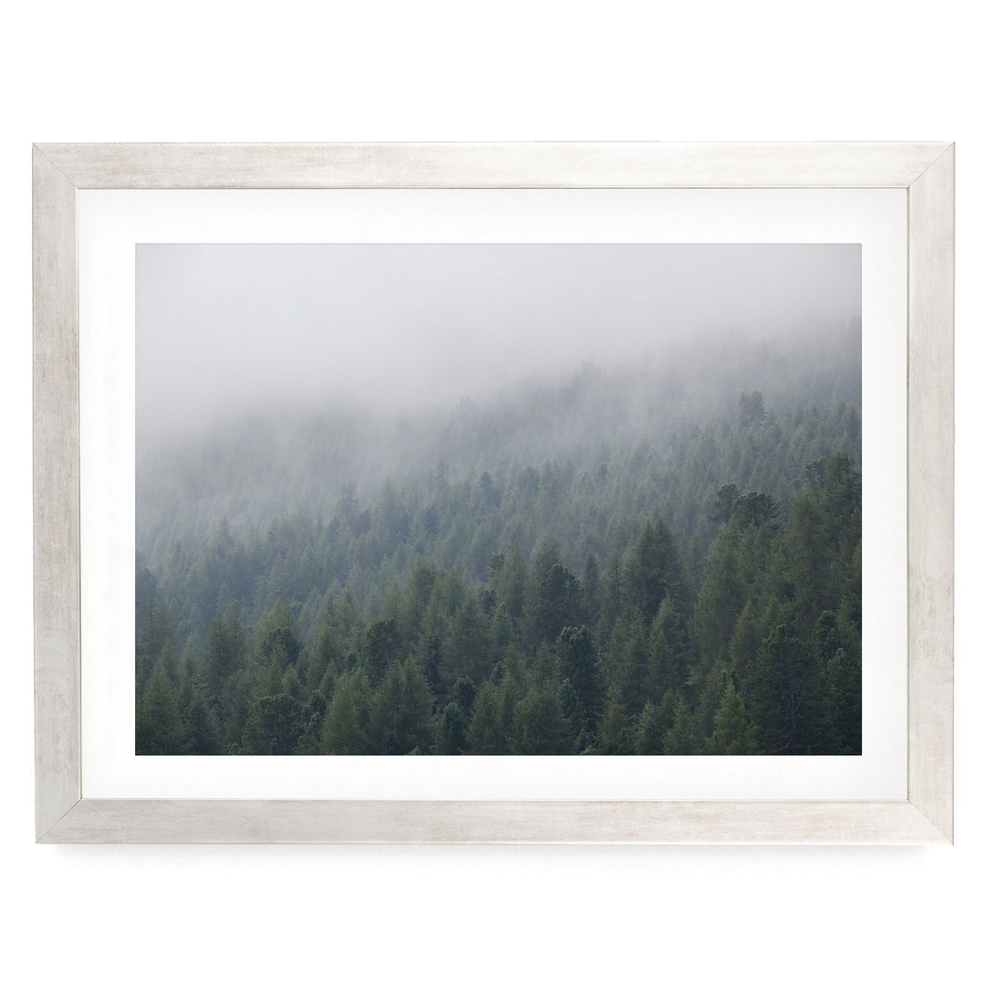 Misty Forest – fine art print in a silver frame with white mat