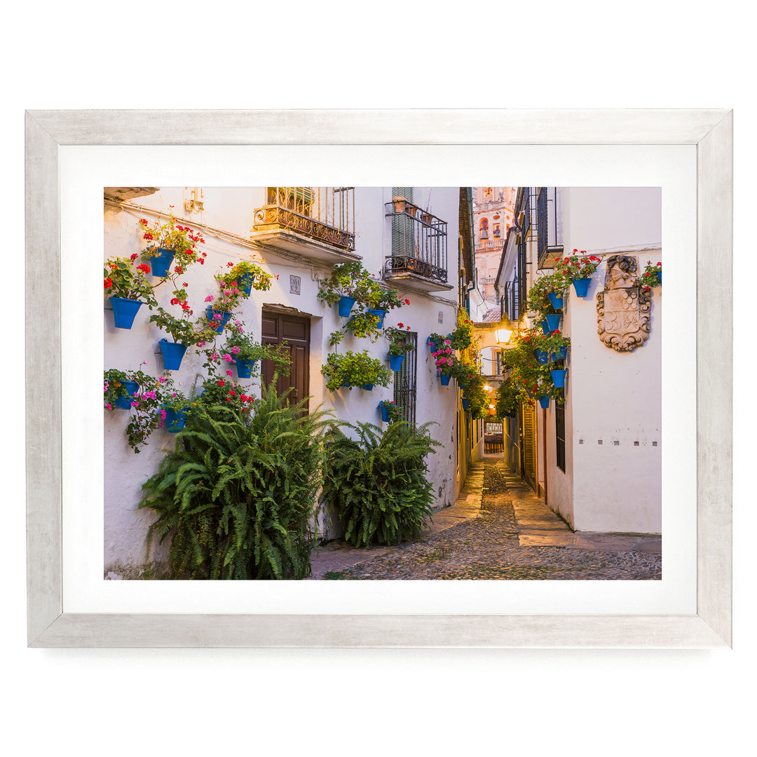 Flower Alley, Córdoba II, Spain – fine art print in a silver frame with white mat