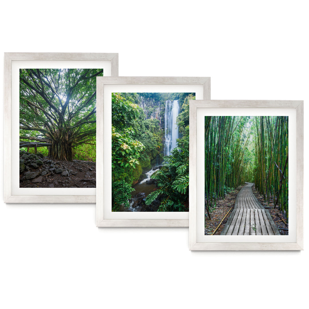 Hawaii Nature, Maui – Print Set – fine art print set in silver frames with white mats