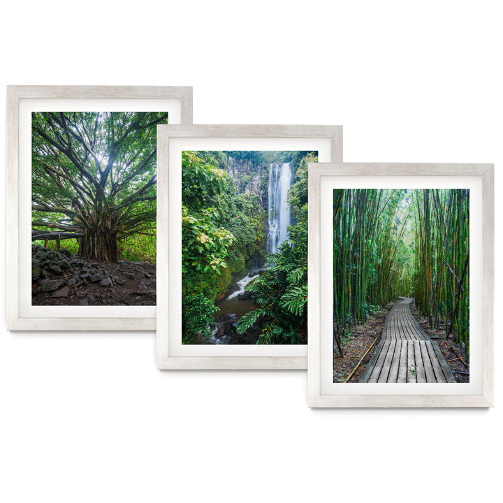 Hawaii Nature, Maui – Print Set – fine art print set in silver frames with white mats