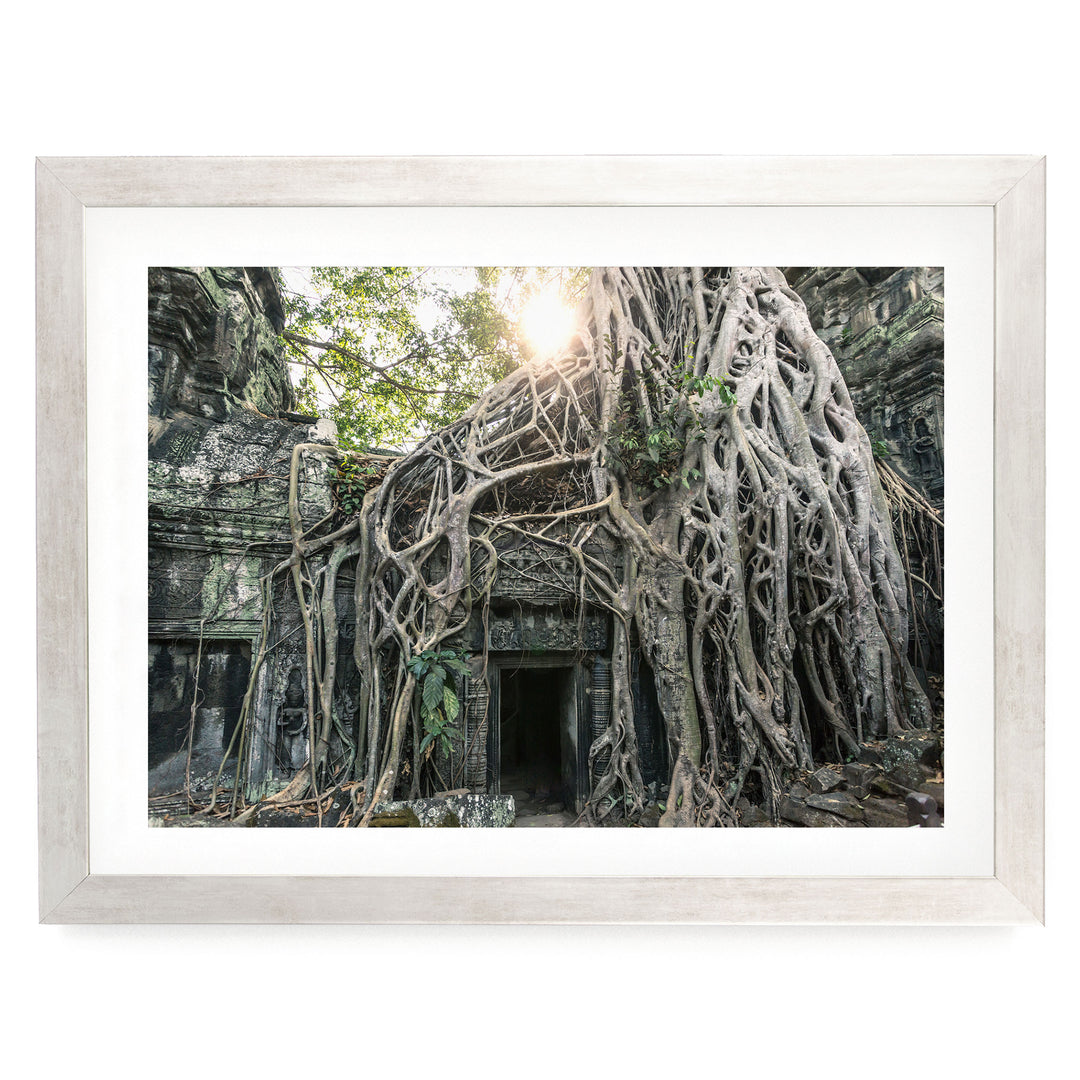 Jungle Temple, Angkor, Cambodia – fine art print in a silver frame with white mat