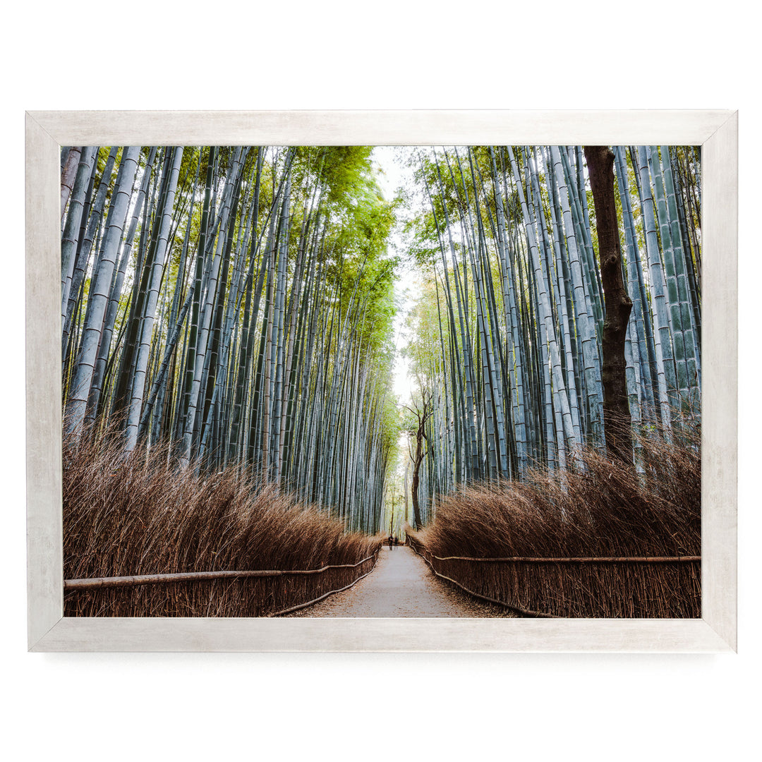 Bamboo Forest, Kyoto I, Japan – fine art print in a silver frame, no mat