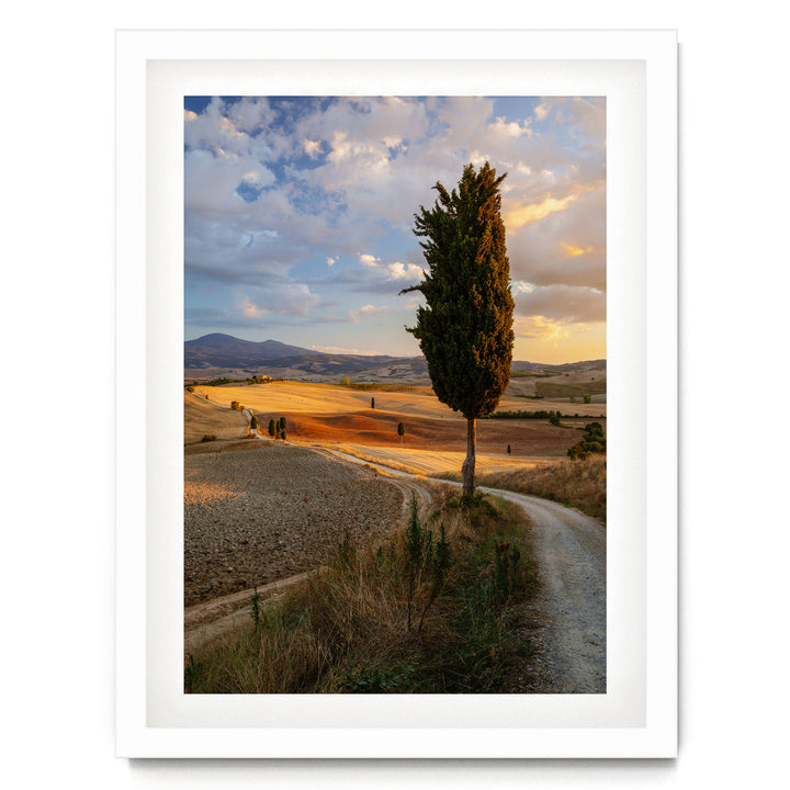 Tuscany at Sunset, Italy – fine art print in a white frame with white mat