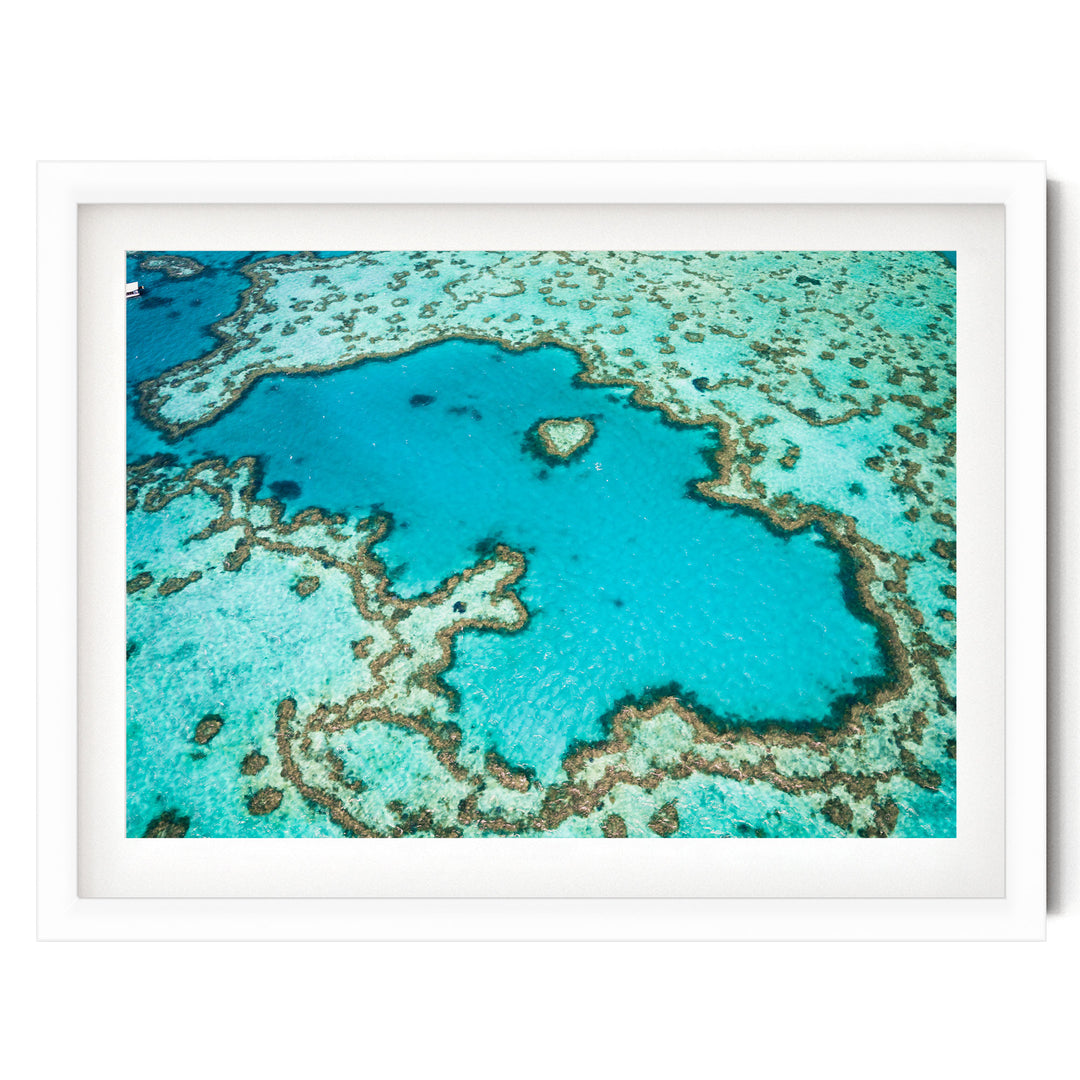 Great Barrier Reef, Queensland, Australia – fine art print in a white frame with white mat