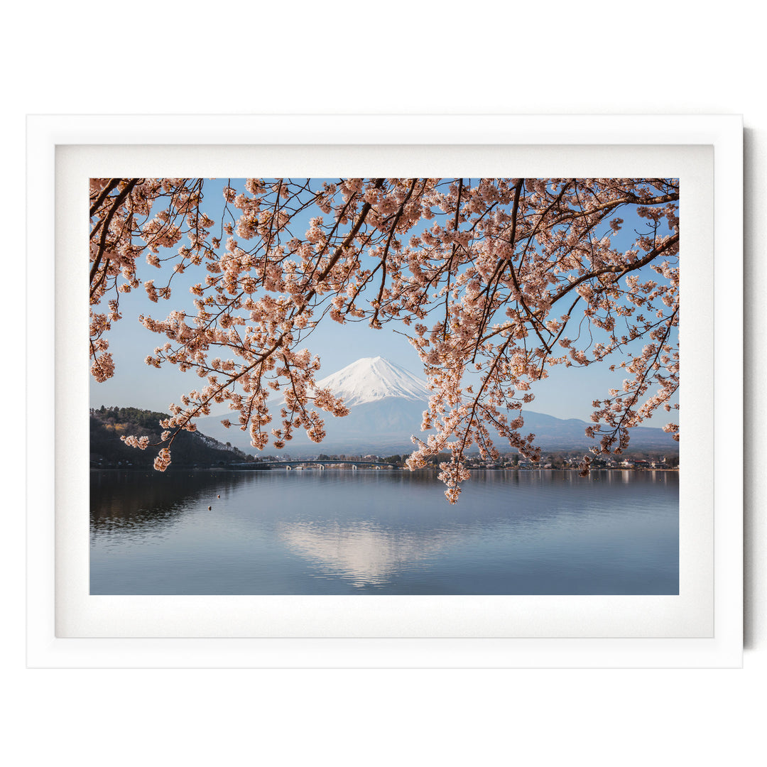 Fuji Five Lakes II, Japan – fine art print in a white frame with white mat