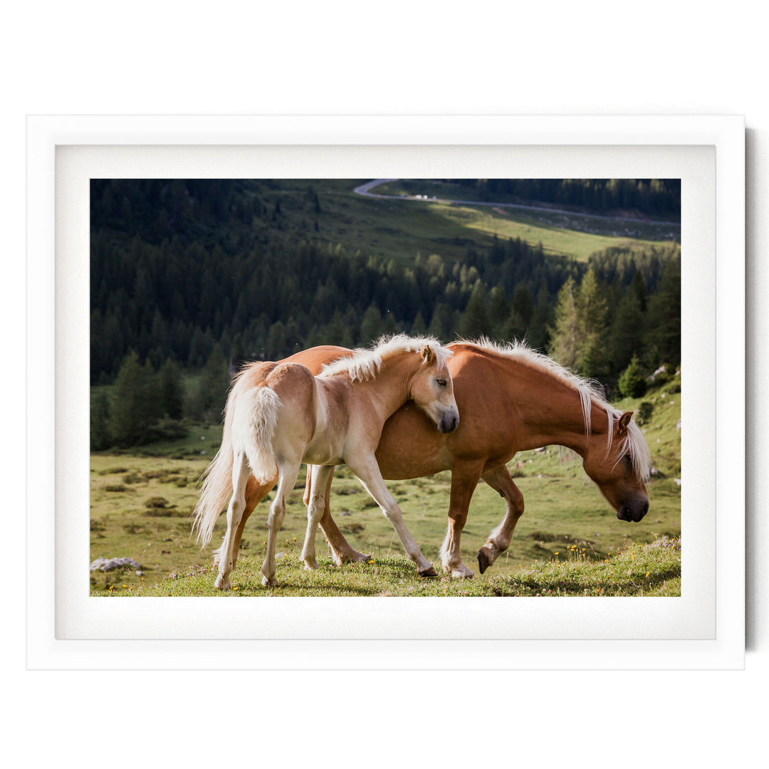 Wild Horses – fine art print in a white frame with white mat