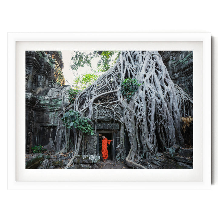 Monk at Ta Prohm, Angkor, Cambodia – fine art print in a white frame with white mat