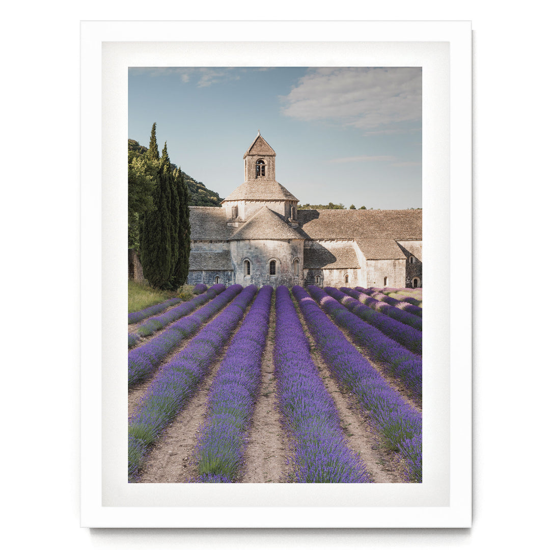 Sénanque Abbey, Provence, France – fine art print in a white frame with white mat