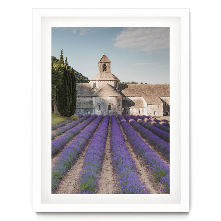 Sénanque Abbey, Provence, France – fine art print in a white frame with white mat