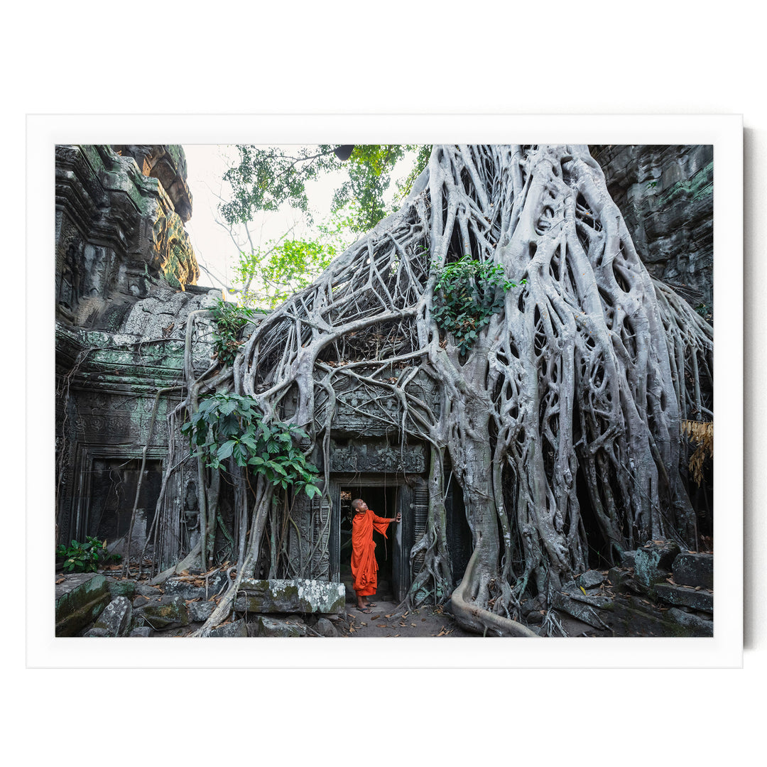 Monk at Ta Prohm, Angkor, Cambodia – fine art print in a white frame, no mat