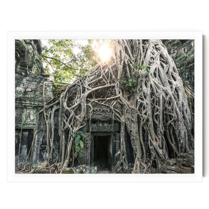 Jungle Temple, Angkor, Cambodia – fine art print in a white frame, no mat
