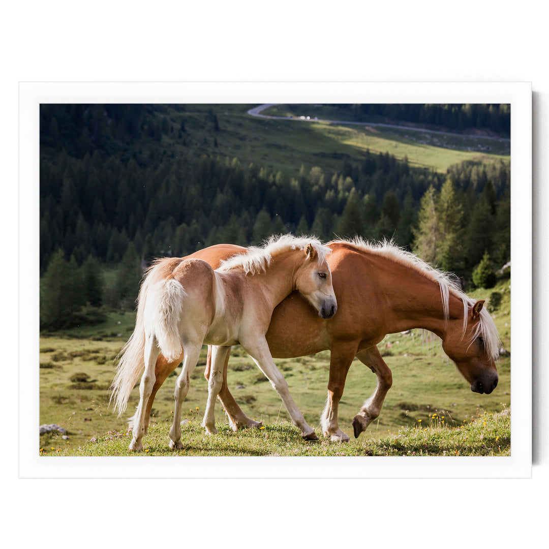 Wild Horses – fine art print in a white frame, no mat