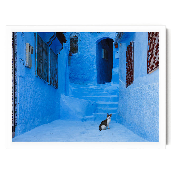Cat in the Blue City, Chefchaouen, Morocco – fine art print in a white frame, no mat