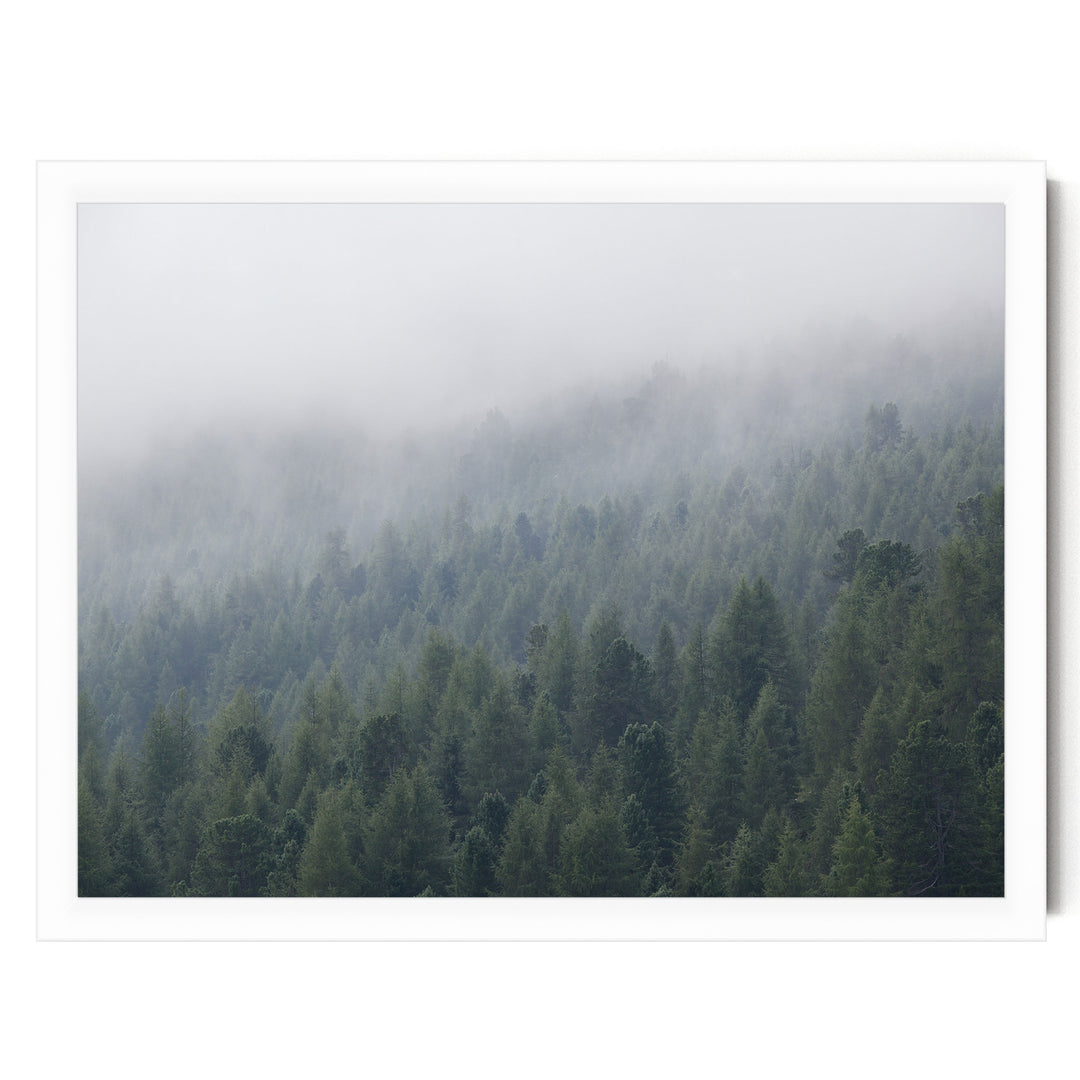 Misty Forest – fine art print in a white frame, no mat