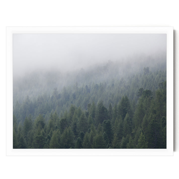 Misty Forest – fine art print in a white frame, no mat