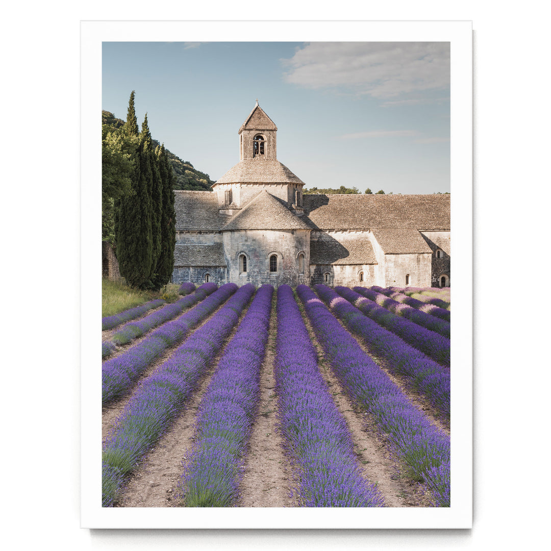 Sénanque Abbey, Provence, France – fine art print in a white frame, no mat