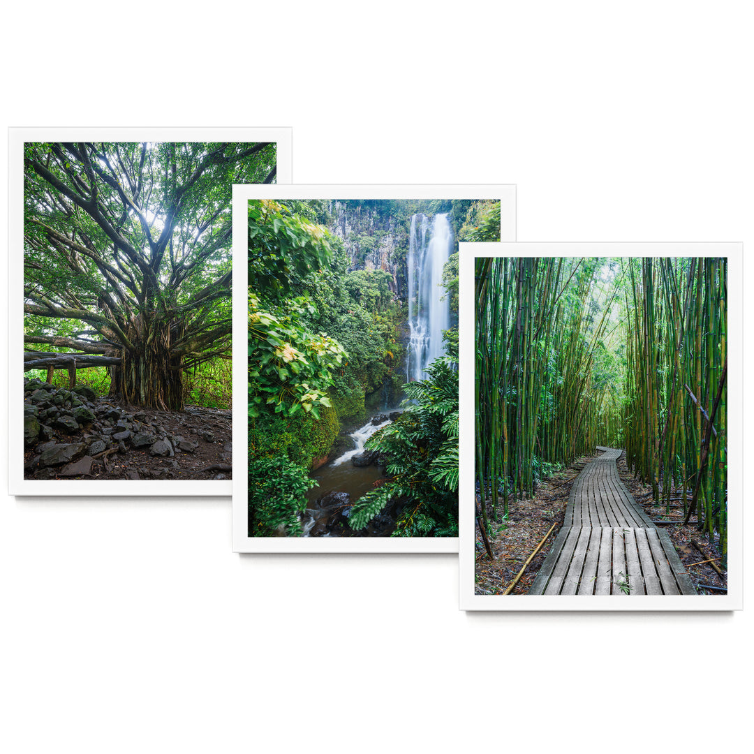 Hawaii Nature, Maui – Print Set – fine art print set in white frames, no mat