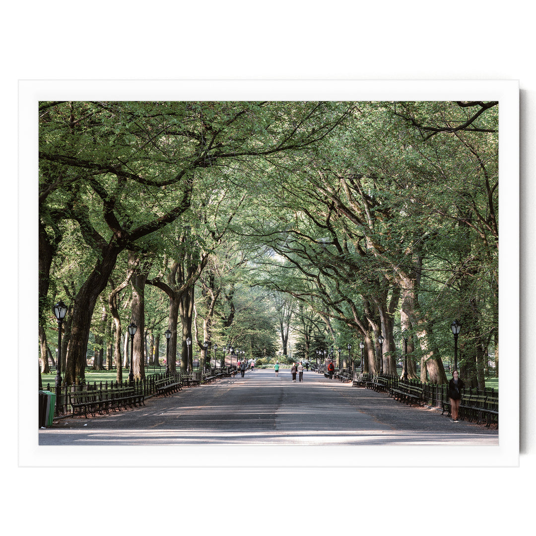 The Mall, Central Park, New York City – fine art print in a white frame, no mat