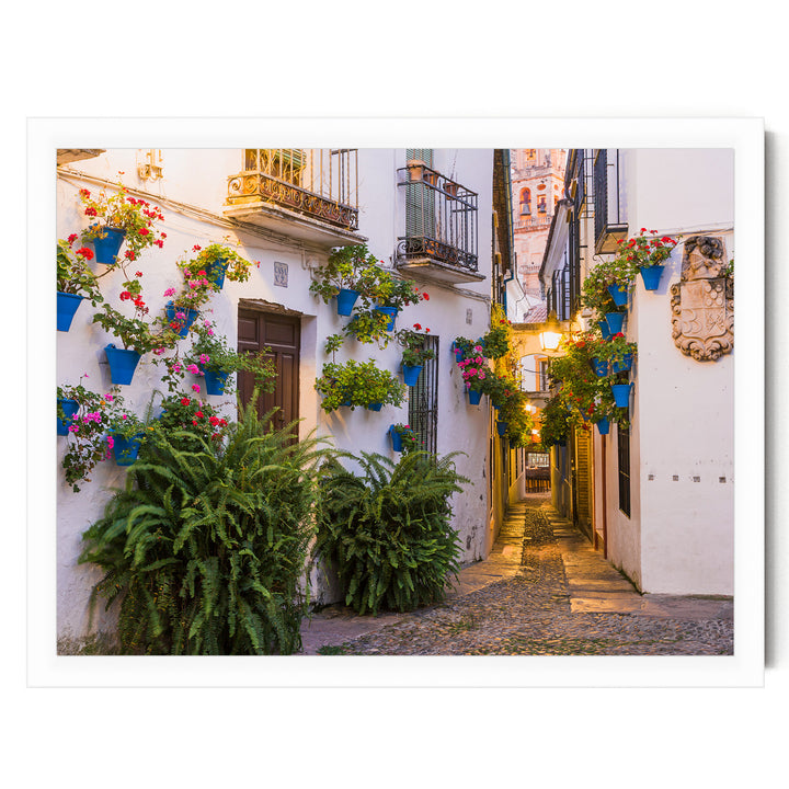 Flower Alley, Córdoba II, Spain – fine art print in a white frame, no mat