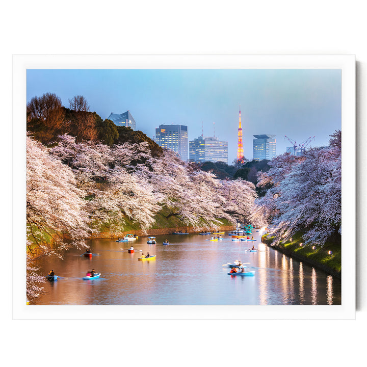 Cherry Blossoms in Tokyo, Japan – fine art print in a white frame, no mat