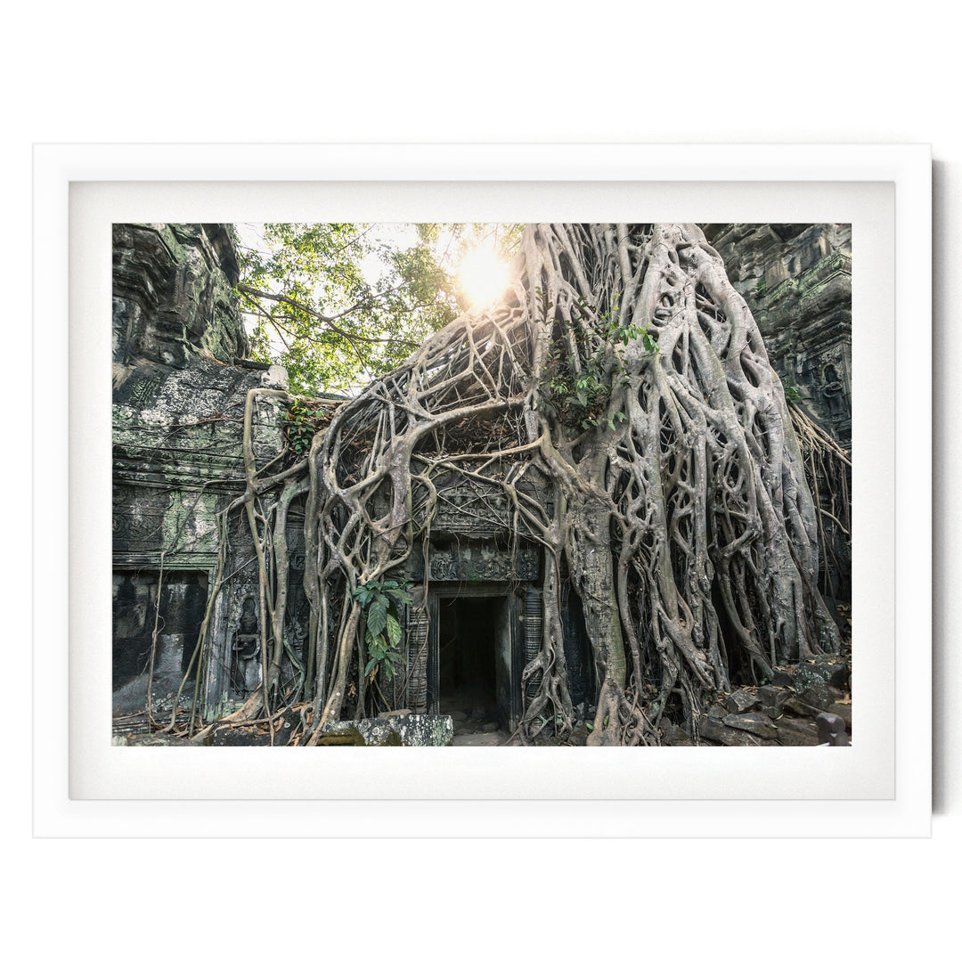 Jungle Temple, Angkor, Cambodia – fine art print in a white frame with white mat