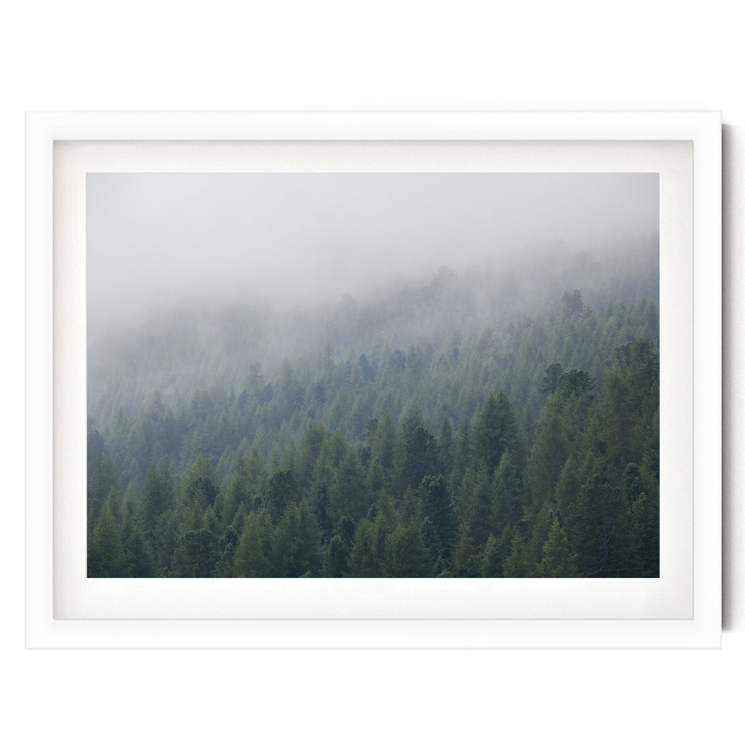 Misty Forest – fine art print in a white frame with white mat