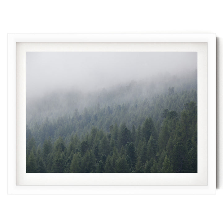 Misty Forest – fine art print in a white frame with white mat