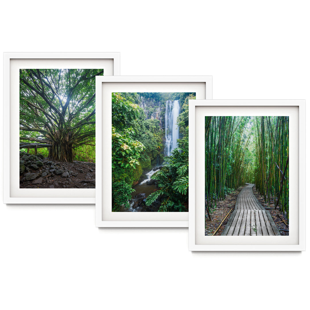 Hawaii Nature, Maui – Print Set – fine art print set in white frames with white mats