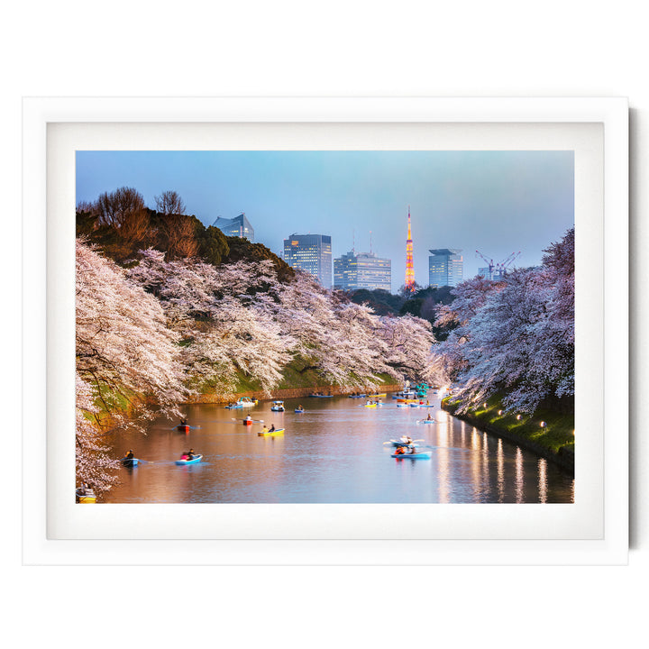 Cherry Blossoms in Tokyo, Japan – fine art print in a white frame with white mat