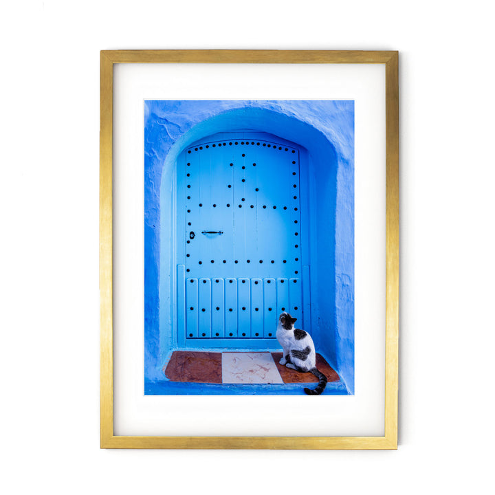 Blue Door and Cat