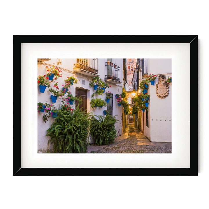 Flower Alley, Cordoba II