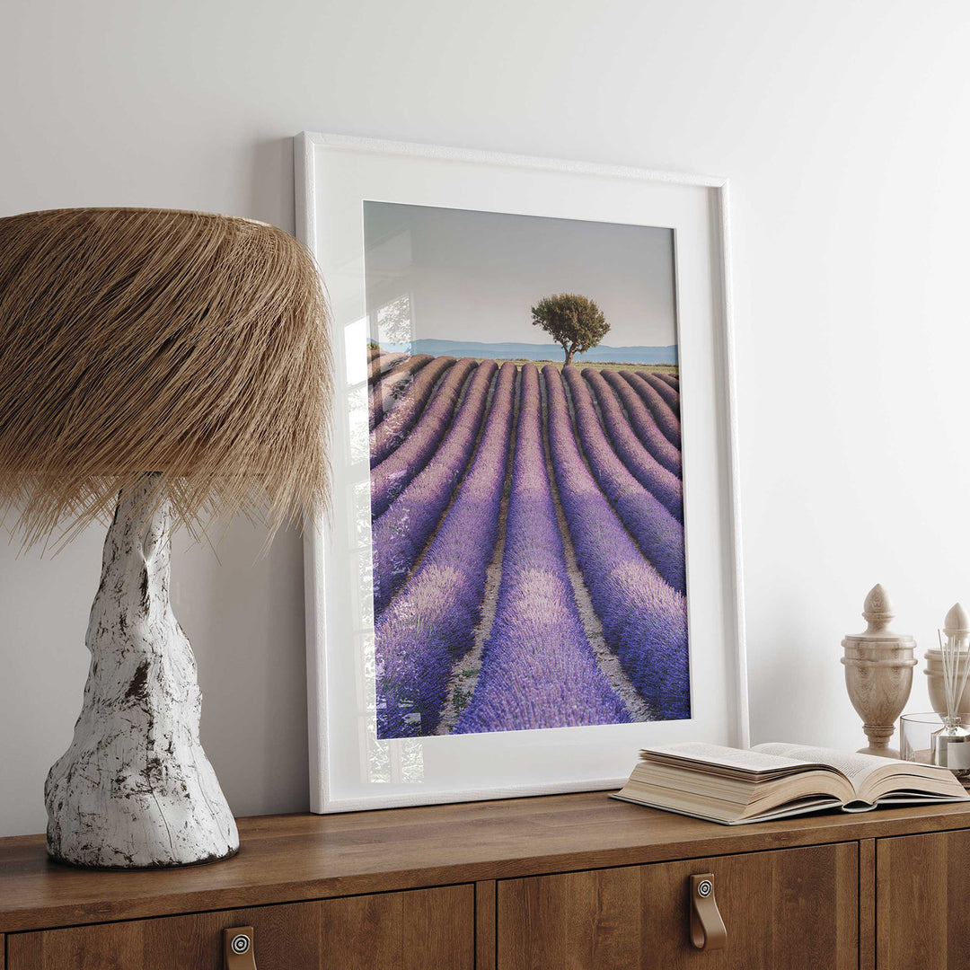 Lavender, Provence II