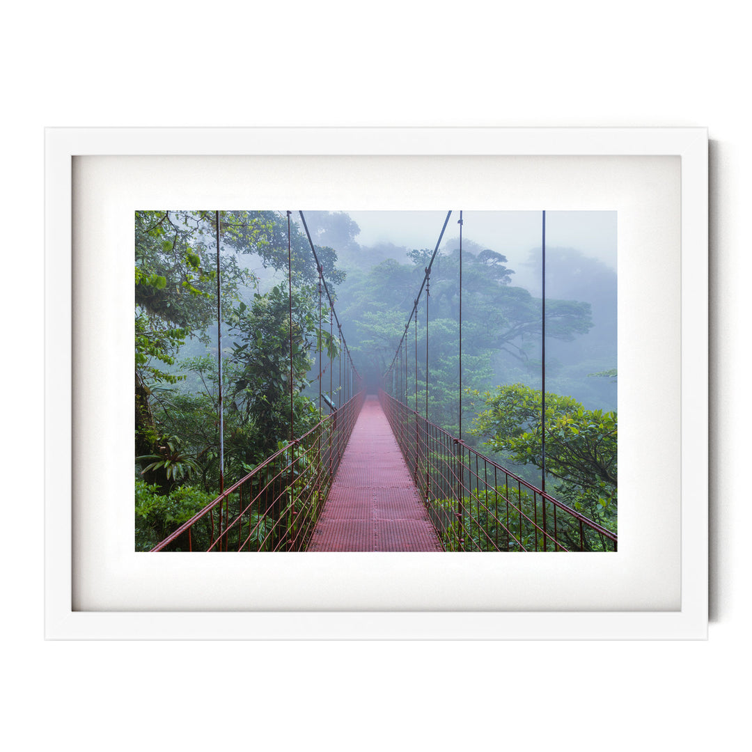 Bridge in the Forest, Costa Rica