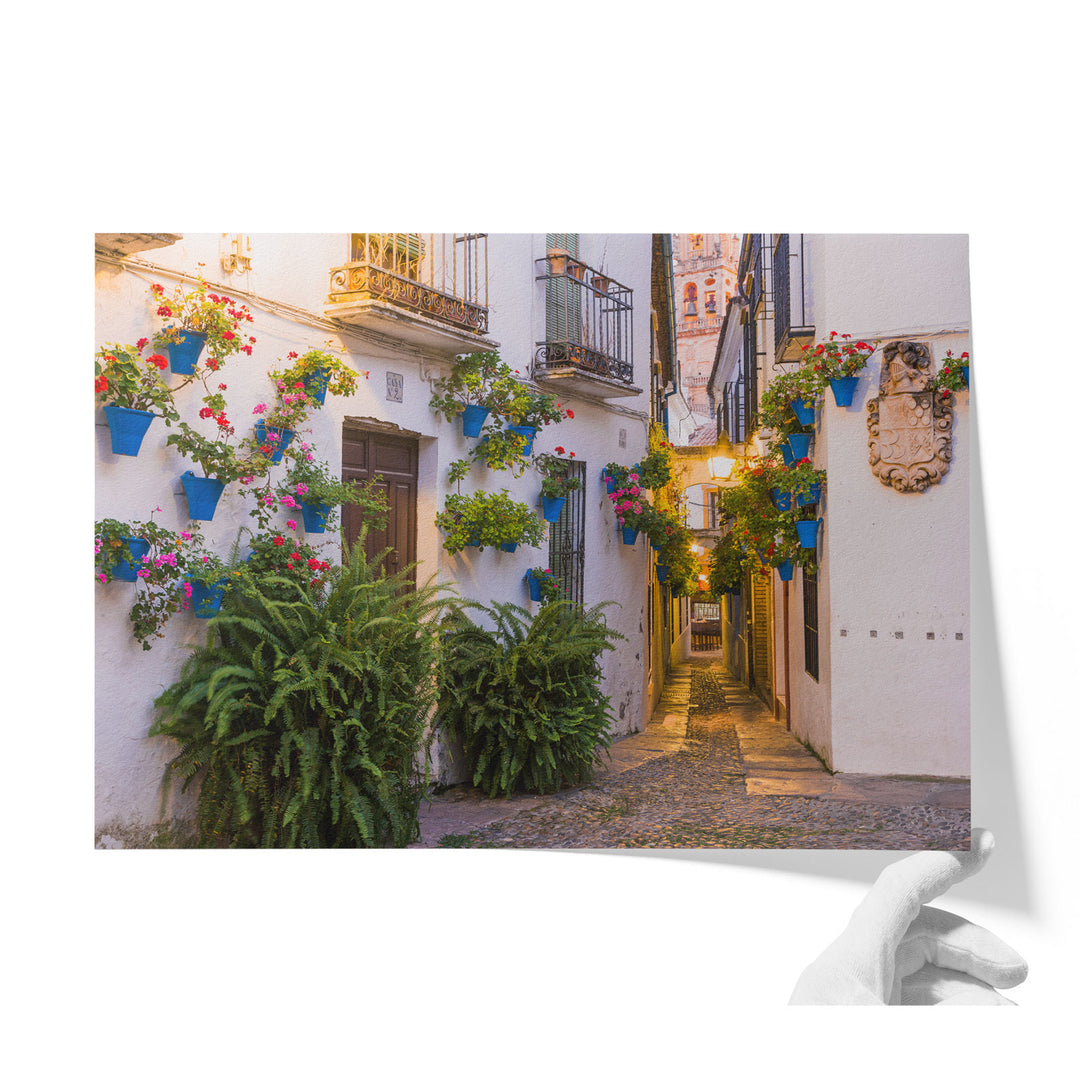 Flower Alley, Cordoba II