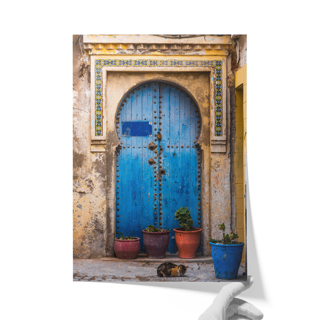 Door and Cat, Morocco
