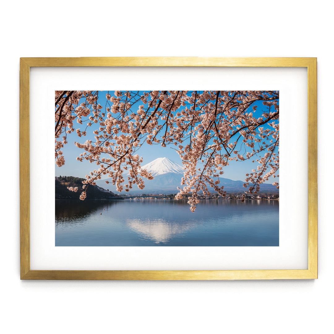 Fuji Five Lakes II