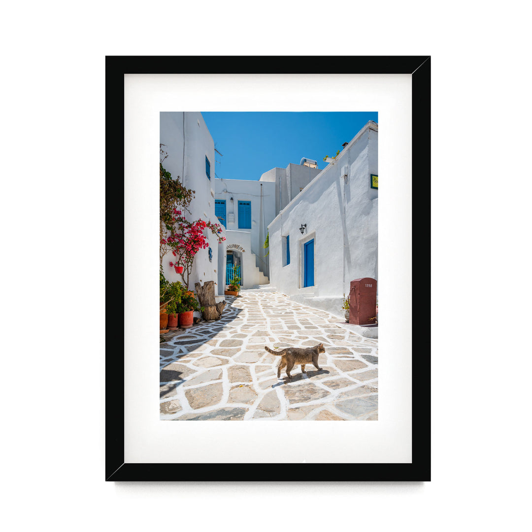 Cat in the Streets of Paros