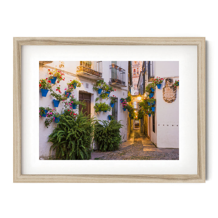 Flower Alley, Cordoba II