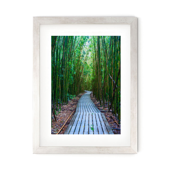 Maui Bamboo Forest II