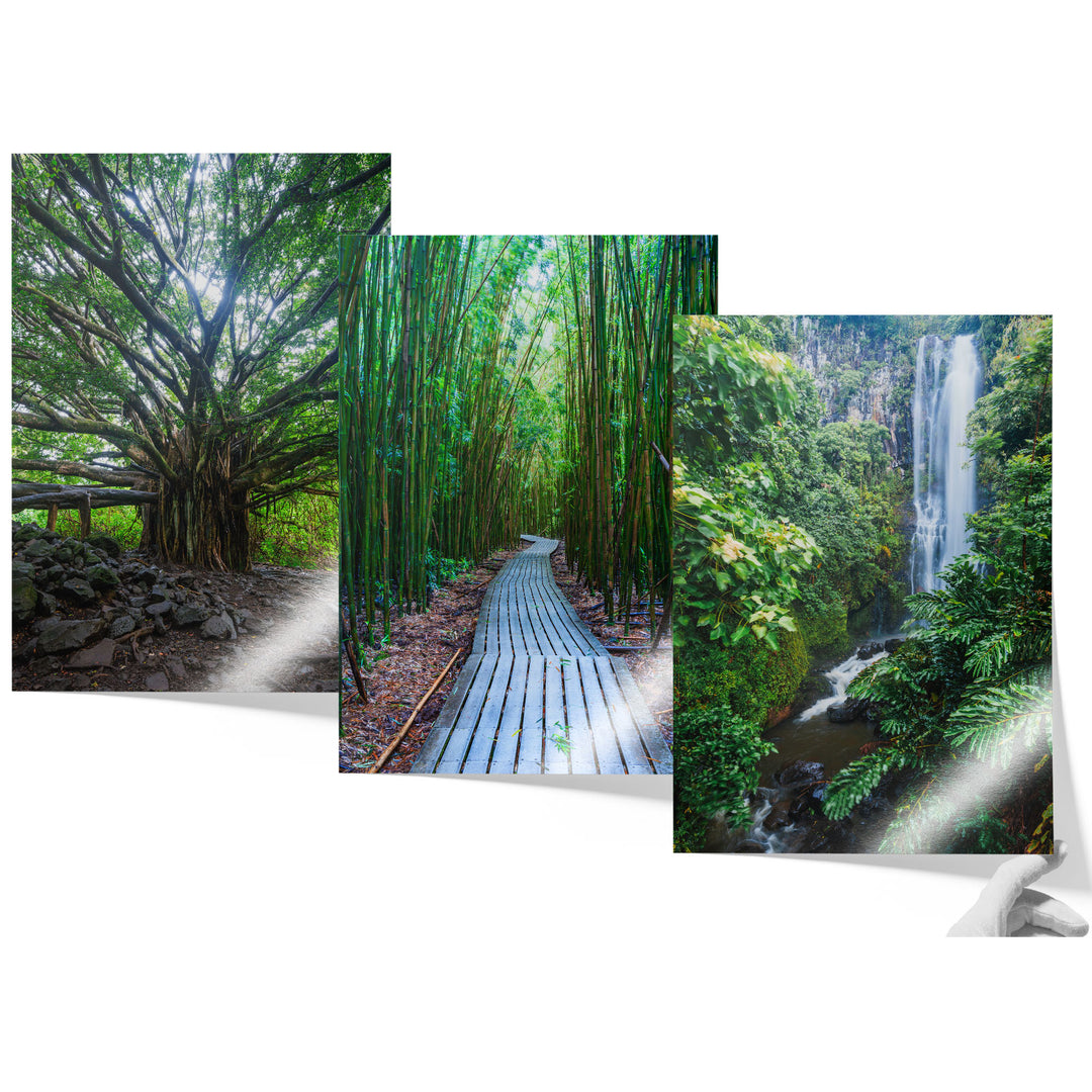 Hawaii Nature Print Set