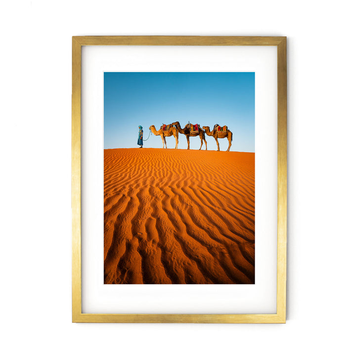 Camels in the Sahara